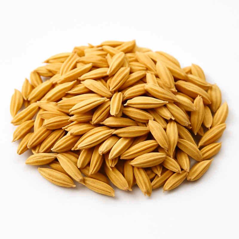 Paddy / Rice