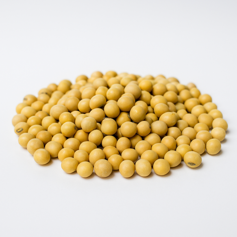 Soybean