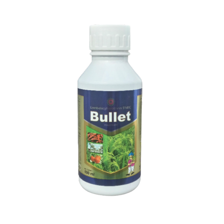 Bullet