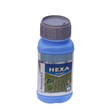 Hexa 5+