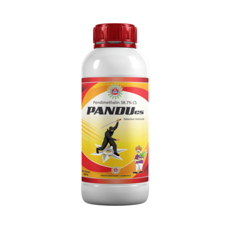 Pandu