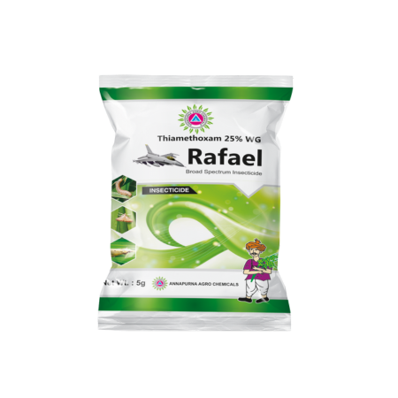 Rafael