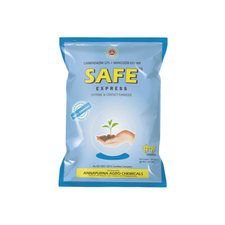 Safe Express